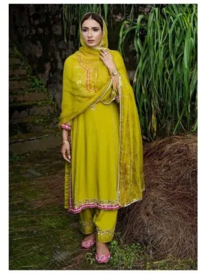 Ladies Punjabi Suit | New Punjabi Suit