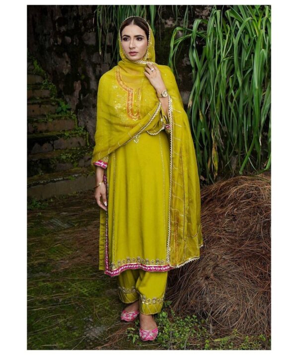 Ladies Punjabi Suit | New Punjabi Suit