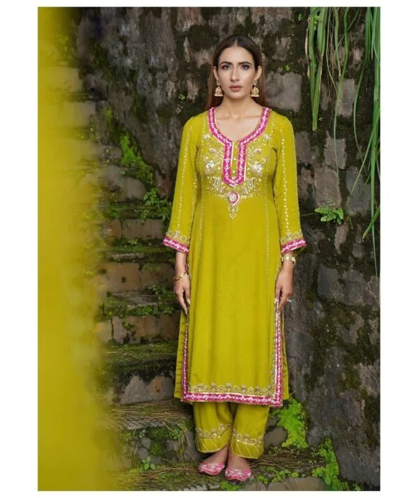 Ladies Punjabi Suit | New Punjabi Suit