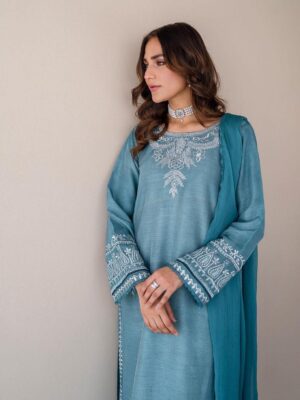 Ladies Punjabi Suit | New Punjabi Suit | Blue