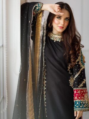 Ladies Punjabi Suit | New Punjabi Suit | Georgette
