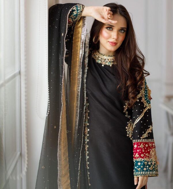 Ladies Punjabi Suit | New Punjabi Suit | Georgette