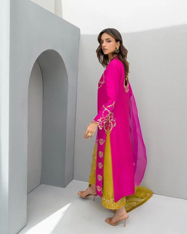 Ladies Punjabi Suit | New Punjabi Suit | Pink