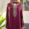 Ladies Punjabi Suit | New Punjabi Suit | Red