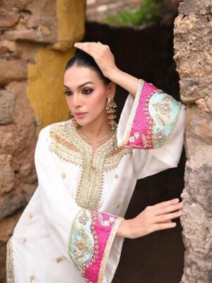 Ladies Punjabi Suit | New Punjabi Suit | Whitee