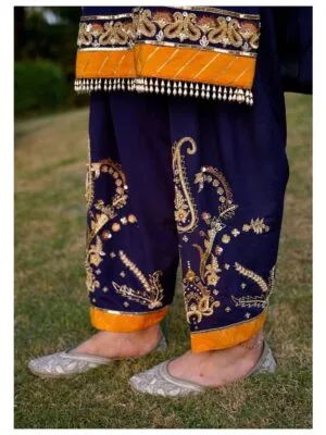Ladies Punjabi Suit | Punjabi Suit Dress