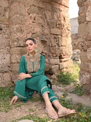 Party Wear Punjabi Suit Design | Full Handwork