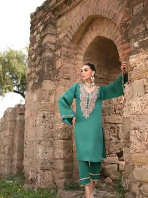 Party Wear Punjabi Suit Design | Full Handwork