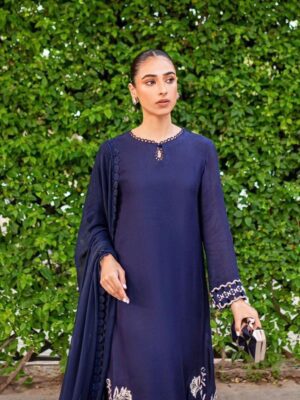 Punjabi Dress | Punjabi suit Design | Blue Suit