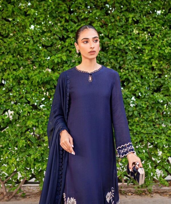 Punjabi Dress | Punjabi suit Design | Blue Suit
