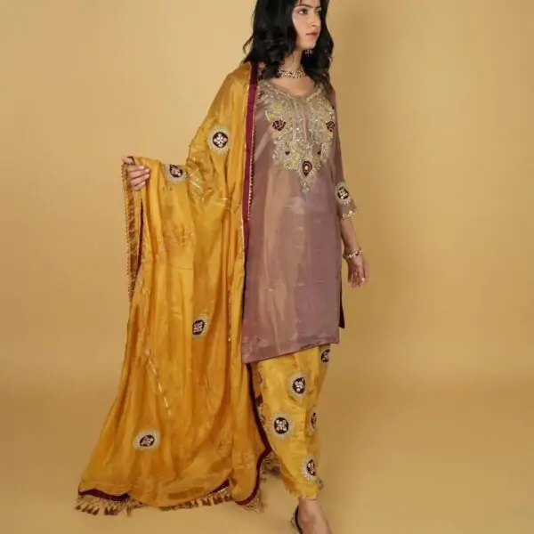 Punjabi Suit | Punjabi Suits Boutique