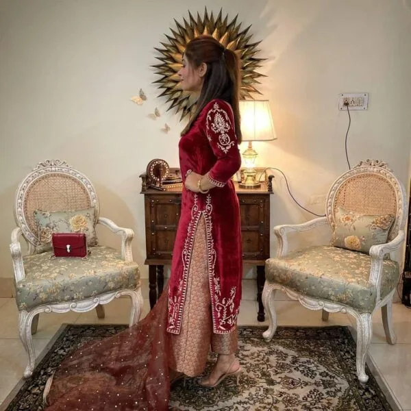 Velvet Suits For Women | Punjabi Suit