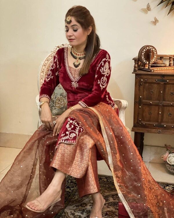 Velvet Suits For Women | Punjabi Suit