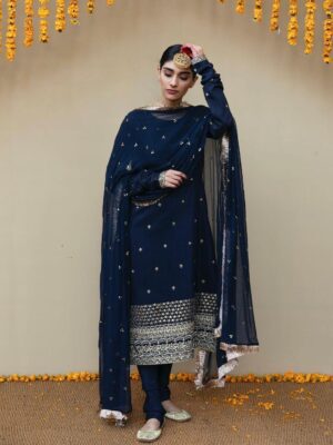 Punjabi Suit | Latest Suit Design | Blue