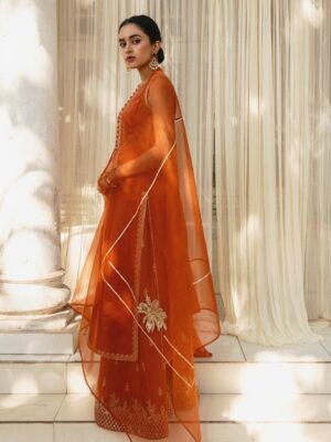 Punjabi Suit | Latest Suit Design | Orange