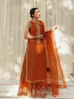 Punjabi Suit | Latest Suit Design | Orange
