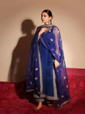 Punjabi Suit Salwar | Trending Suit