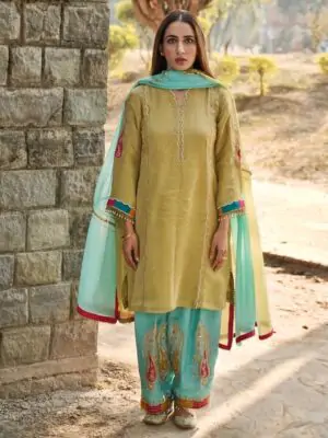 punjabi suits design