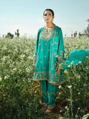 punjabi suits design