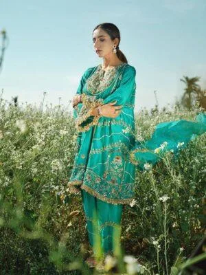 punjabi suits design