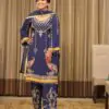 punjabi suits punjabi outfit