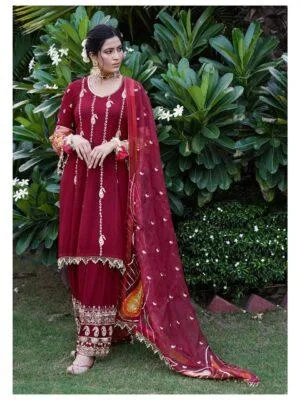 punjabi suits punjabi outfit