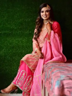 punjabi suits punjabi outfit