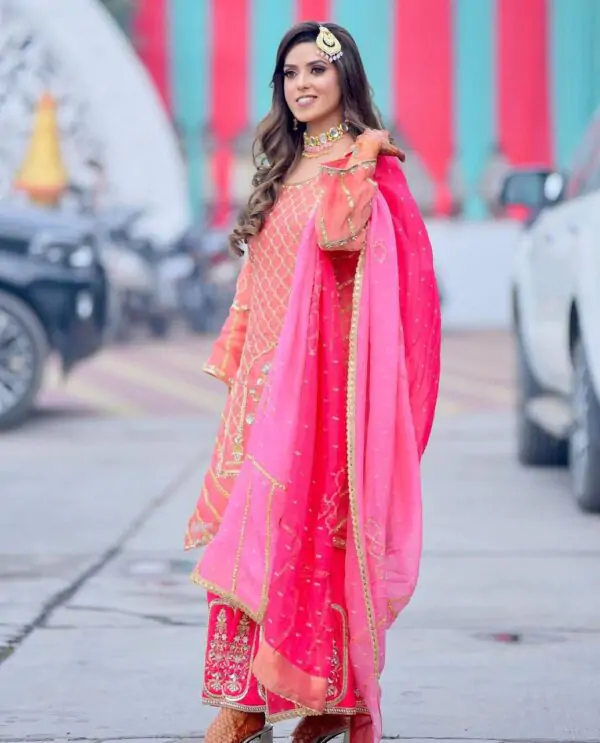 punjabi suits punjabi outfit