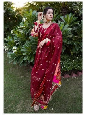 punjabi suits punjabi outfit