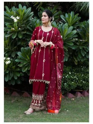 punjabi suits punjabi outfit