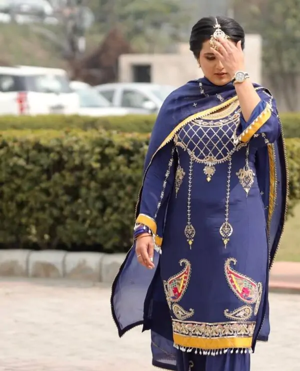 punjabi suits punjabi outfit