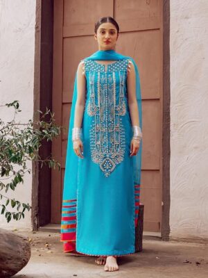 Punjabi Wedding Outfit | Punjabi Suit Design | Bluee Suit