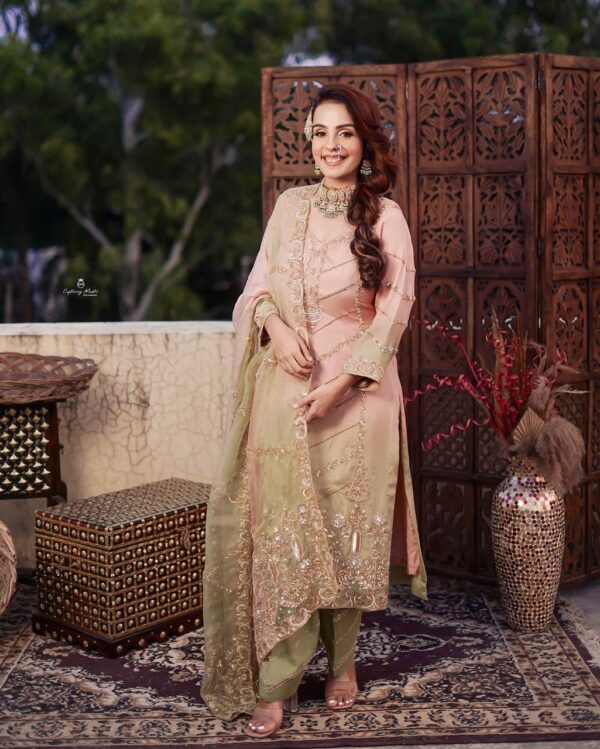 Punjabi Suit For Wedding Party