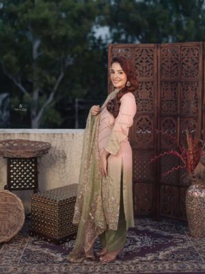 Punjabi Suit For Wedding Party