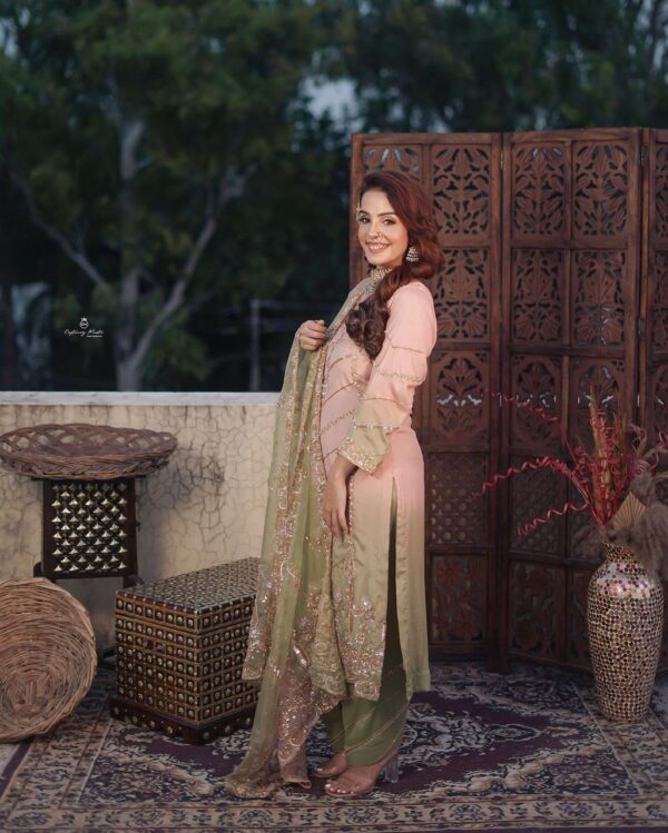 Punjabi Suit For Wedding Party
