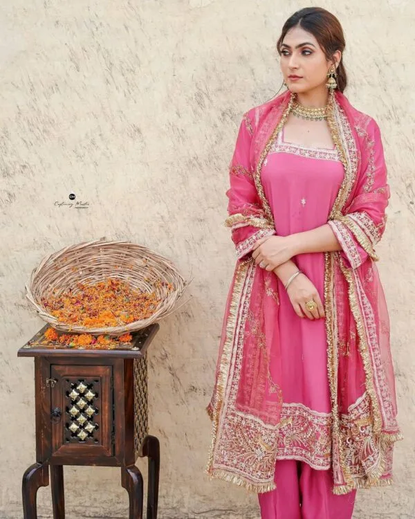 Latest Punjabi Pink Suit Online Boutique