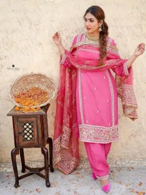 Latest Punjabi Pink Suit Online Boutique