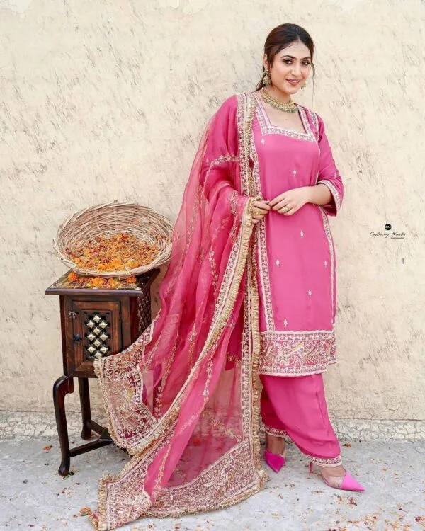 Latest Punjabi Pink Suit Online Boutique