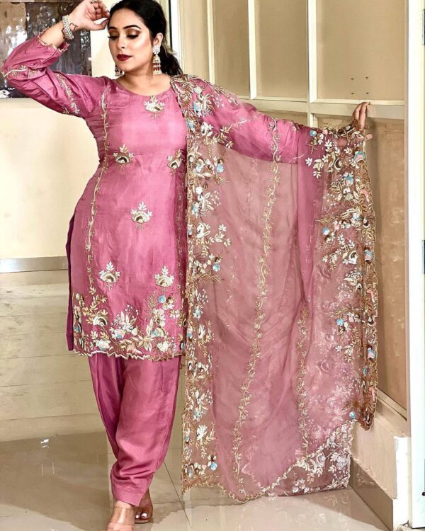 Latest Punjabi Suit | Punjabi boutique