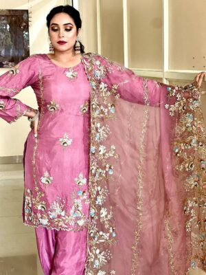 Latest Punjabi Suit | Punjabi boutique