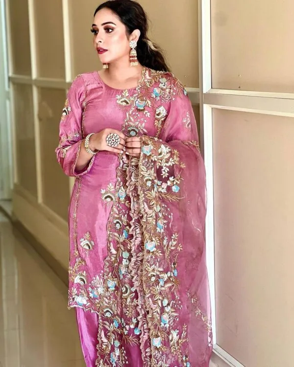 Latest Punjabi Suit | Punjabi boutique