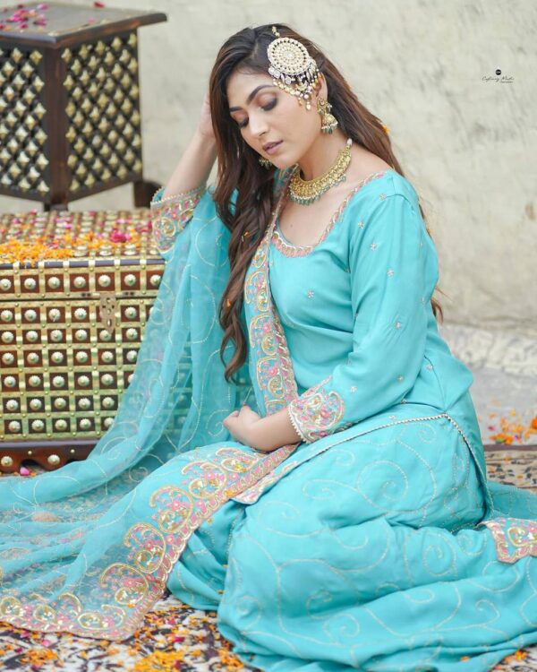 Online Shopping Punjabi Suit Punjabi Boutique