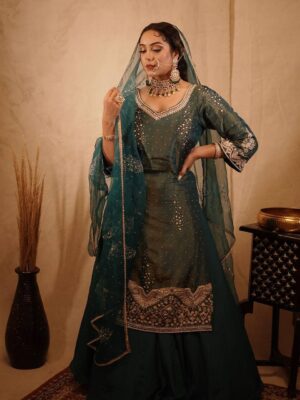 Punjabi Designer Suit Latest