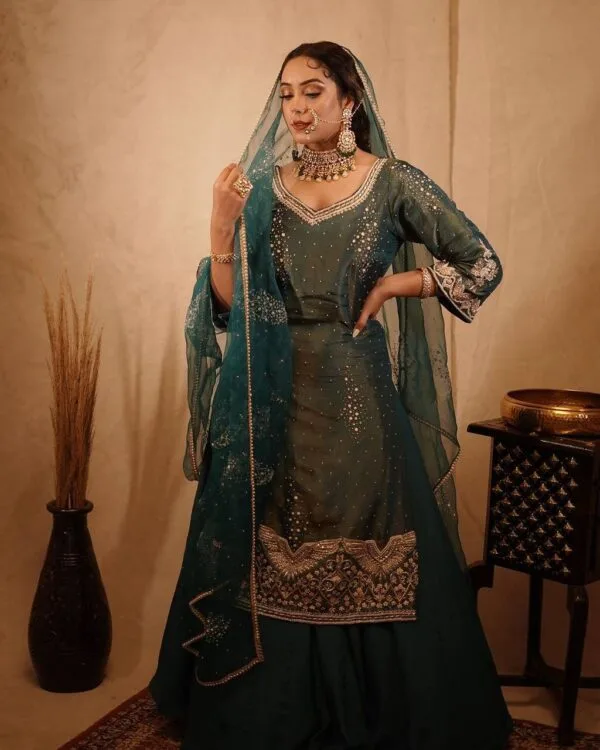 Punjabi Designer Suit Latest