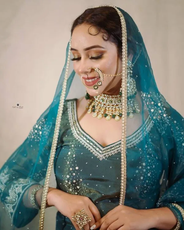 Punjabi Designer Suit Latest