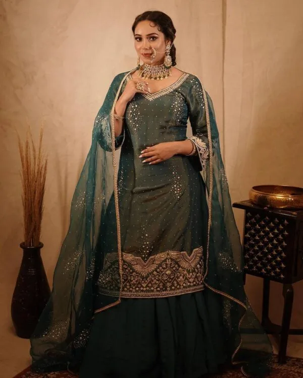 Punjabi Designer Suit Latest