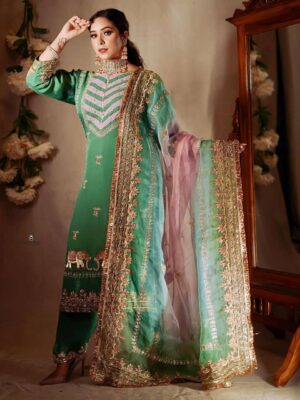 Punjabi Designer Suit Latest Worldwide