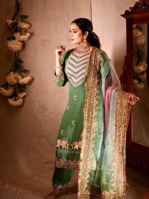 Punjabi Designer Suit Latest Worldwide