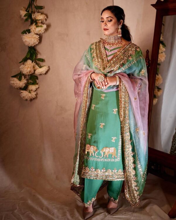 Punjabi Designer Suit Latest Worldwide