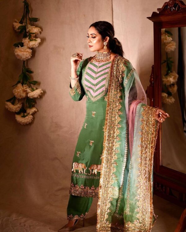 Punjabi Designer Suit Latest Worldwide